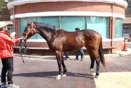 ��õ ����