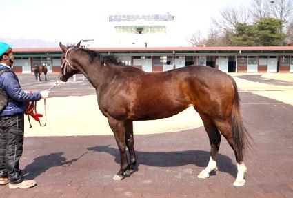 ����ÿ�� ����