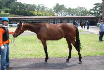 ��öȭ�� (GANGCHEOL HWASAL) ����