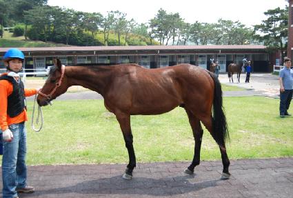 ��öȭ�� ����