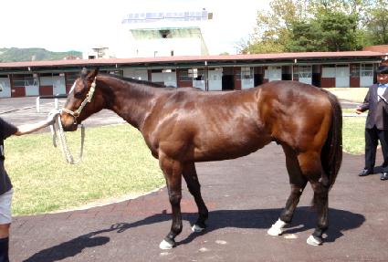 ����Ű��ǳ ����