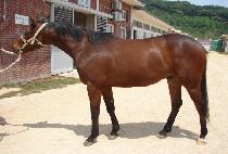 �Ͼǻ� (BUGAKSAN) ����