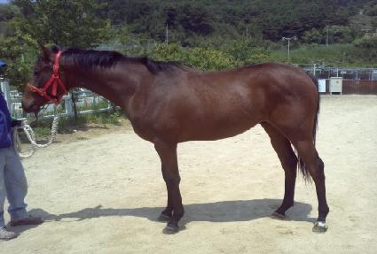 �̶�Ŭŷ ����