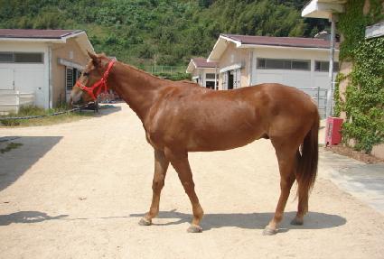 ��·��̴� ����