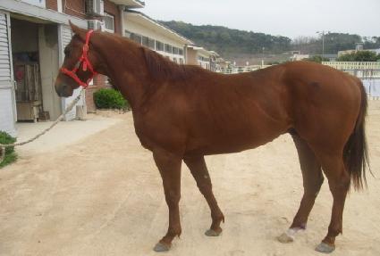 ���¾� ����