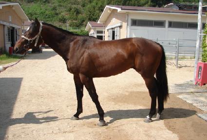 �۷ι����� ����