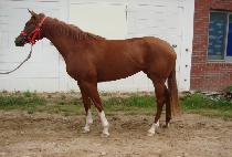 �¿��� (TAEWANG QUEEN) ����