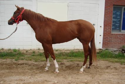 �¿��� ����