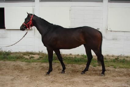 ����Ʈ������ ����