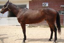 �������� (MYEONGMUNSEGA) ����