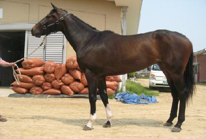 �ְ���� ����