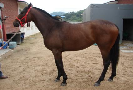 ���Ͻ� ����