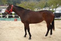 ���Ͻ��׸��� (BERNICE GREELEY) ����