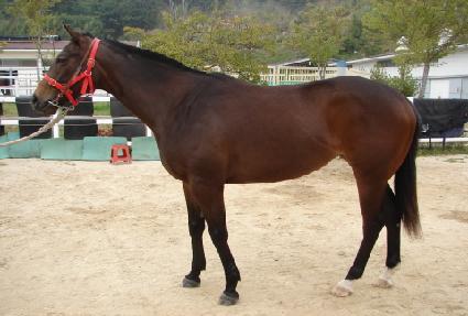 ���Ͻ��׸��� ����