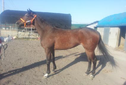 �������� ����