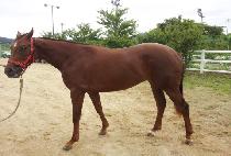 ������ (BYEOLNIMI) ����