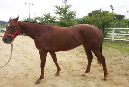 ������ ����