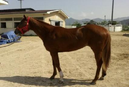 ���Ÿ��Ǭ ����