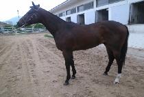 ������ĸƾ (SMILE CAPTAIN) ����