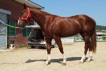 �ٴ����� (BADA JEONGBEOL) ����