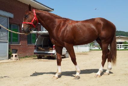 �ٴ����� ����