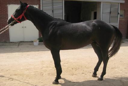 ���̳��ͺ��� ����