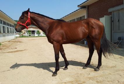 �ִϱ���Ʈ ����