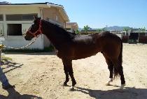 ������ġ (HIGH TOUCH) ����