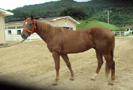 ������۽�Ʈ ����