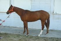 ���뱺�� (JEOLDAE GUNJU) ����