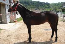 ��Ʈ��Ʈ�̺�Ʈ (STREET EVENT) ����