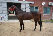 GOSOK SEONGJANG picture