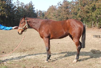 �ϻ����� ����