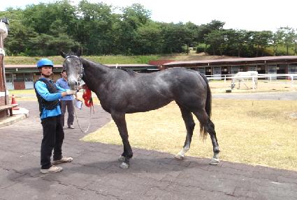 Ǫ���̼� ����