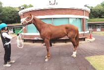 ����Ʈ���� (SEONGGONG TREND) ����