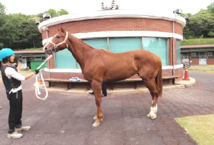 ����Ʈ���� ����