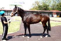 �����ַ�� (SEONGGONG SOLUTION) ����