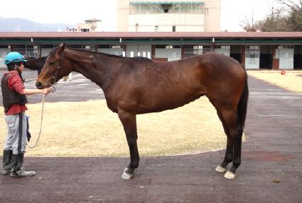 �巡���� ����