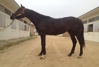 ���ν� ����