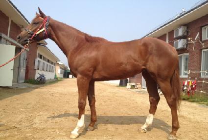 ���������� ����