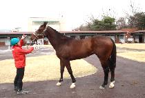 ����źȯ (MUNHAK TANHWAN) ����