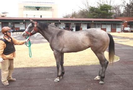 ���н��ǵ� ����