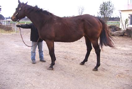 ȣ������ ����