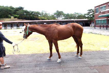 ġ������ĵ ����