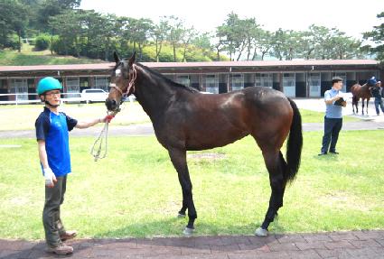 ���̻� ����