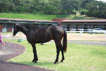 �������� (SINHEUNG EUTTEUM) ����