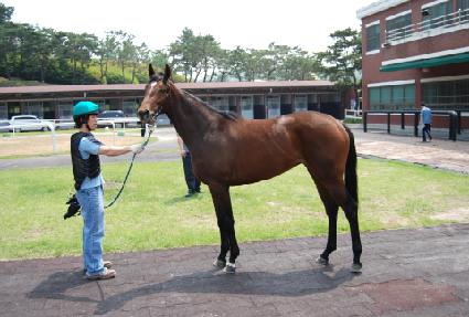 Ƽ���丮�� ����