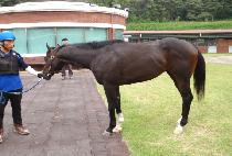 �������Ǳ��� (DONGBANJAUI GIJEOK) ����