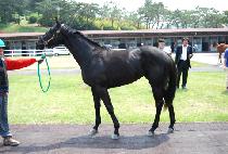 DAERYUGUI BYEOL picture