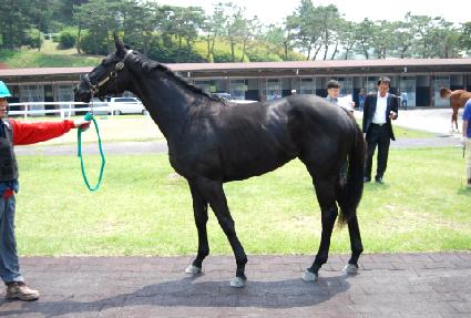 ����Ǻ� ����